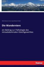 Wanderniere af Mikhail Matveevich Volkov