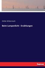 Beim Lampenlicht - Erzahlungen af Ottilie Wildermuth