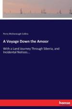 Voyage Down the Amoor af Perry McDonough Collins