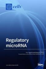 Regulatory microRNA