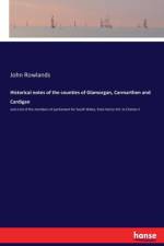 Historical notes of the counties of Glamorgan, Carmarthen and Cardigan af John Rowlands