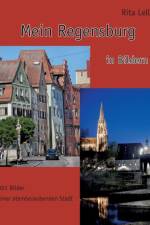 Mein Regensburg af Rita Lell