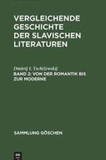 Von Der Romantik Bis Zur Moderne af Dmitrij I Tschizewskij