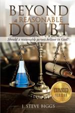 Beyond a Reasonable Doubt af J Steve Biggs