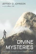 Divine Mysteries af Jeffrey D Johnson