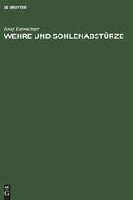 Wehre Und Sohlenabsturze af Josef Einwachter