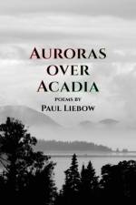 Auroras Over Acadia af Paul Liebow