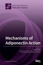 Mechanisms of Adiponectin Action