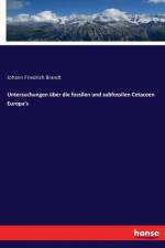 Untersuchungen uber die fossilen und subfossilen Cetaceen Europa's af Johann Friedrich Brandt