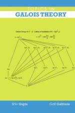 Topics in Galois Theory af Gail Gallitano