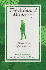 Accidental Missionary af David L Winters