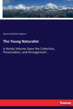 Young Naturalist af Henry Gardiner Adams