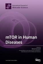 mTOR in Human Diseases
