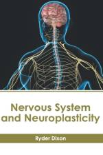 Nervous System and Neuroplasticity