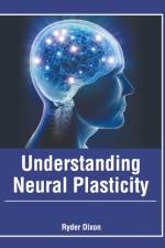 Understanding Neural Plasticity