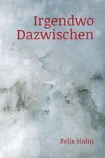 Irgendwo Dazwischen af Felix Hahn