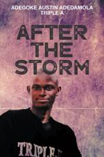 After the Storm af Adegoke Austin Adedamola Triple A