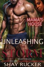 Unleashing The Storm af Shay Rucker