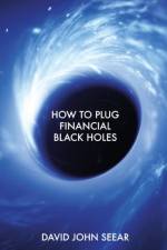 How to Plug Financial Black Holes af David John John