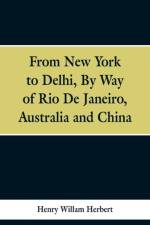 From New York to Delhi af Robert B Minturn