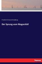 Sprung vom Niagarafall af Friedrich Armand Strubberg