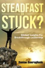 Steadfast Or Stuck? af Damian Smeragliuolo