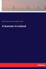 Summer in Iceland af Carl Wilhelm Paijkull