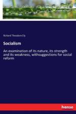 Socialism af Richard Theodore Ely