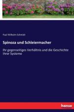 Spinoza und Schleiermacher af Paul Wilhelm Schmidt