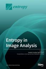 Entropy in Image Analysis af Amelia Carolina Sparavigna