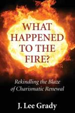 What Happened to the Fire? af J Lee Grady