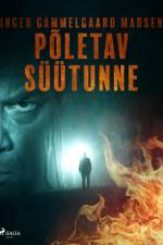 Põletav süütunne af Inger Gammelgaard Madsen