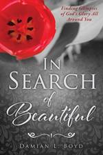 In Search of Beautiful af Damian L Boyd