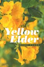 Yellow Elder af Derry Evans