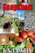 Snapshots af John S Langley