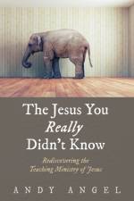 The Jesus You Really Didn't Know af Andy Angel