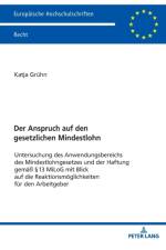 Der Anspruch auf den gesetzlichen Mindestlohn af Katja Gruhn