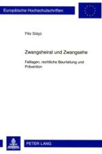 Zwangsheirat Und Zwangsehe af Filiz Suetcue