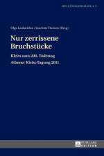 Nur zerrissene Bruchstuecke