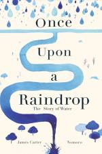 Once Upon a Raindrop