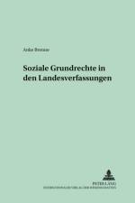 Soziale Grundrechte in Den Landesverfassungen af Anke Klose