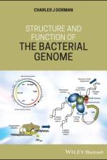 Structure and Function of the Bacterial Genome af Charles J. Dorman