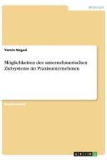 Moeglichkeiten des unternehmerischen Zielsystems im Praxisunternehmen af Yamin Nogod