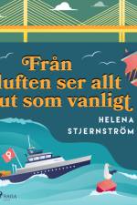 Från luften ser allt ut som vanligt af Helena Stjernström