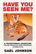 Have You Seen Me? af Gael Johnson