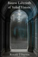 Bizarre Labyrinth of Veiled Visions af Ronald J. Dayton
