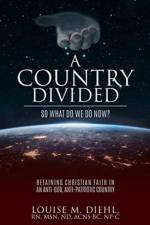 Country Divided, So What Do We Do Now? af Louise M