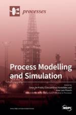 Process Modelling and Simulation