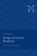 Bridge across the Bosporus af Ferenc A. Vali