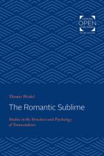 The Romantic Sublime af Thomas Weiskel